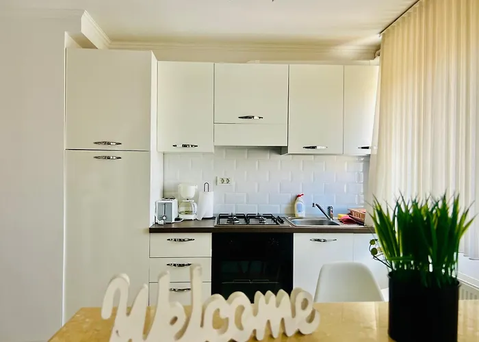 Joy Republicii 25 Timisoara